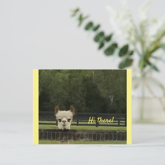 Peekaboo alpaca briefkaart (Staand voorkant)