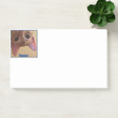 Peekaboo! Archie ziet je! Post-it® Notes (Kantoor)