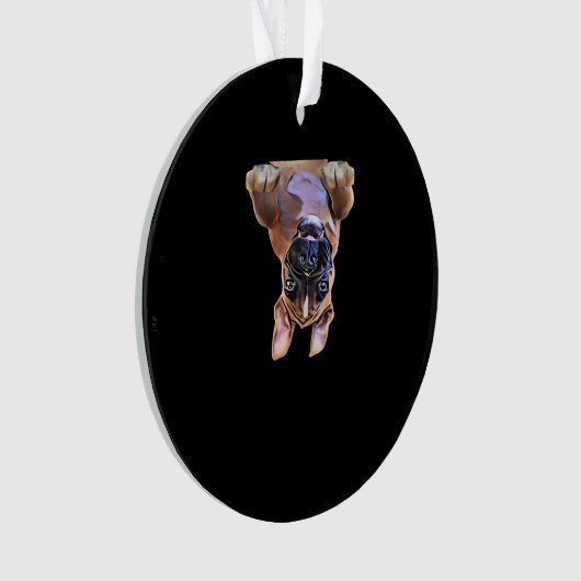 Peekaboo Boxer Ornament (voorkant)