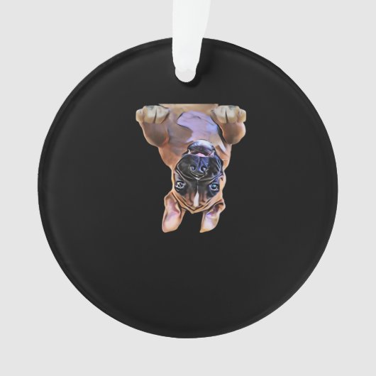 Peekaboo Boxer Ornament (voorkant)