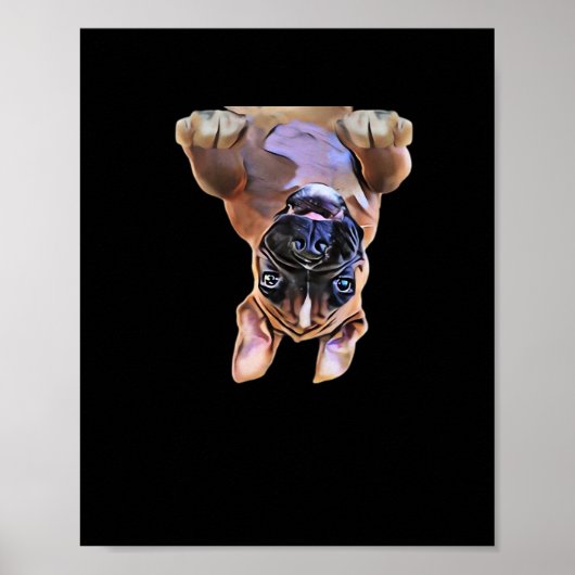 Peekaboo Boxer Poster (Voorkant)
