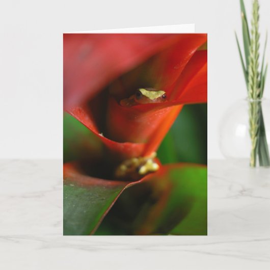 Peekaboo Kaart (Voorkant)