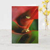 Peekaboo Kaart (Gele Bloem)