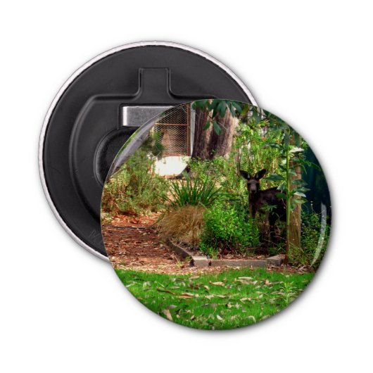 Peekaboo Kangaroo, Magnetic Bottle Opener. Button Flesopener (Voorkant)
