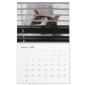 Peekaboo kattenkalender kalender (Jan 2027)