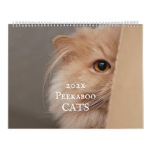 Peekaboo kattenkalender