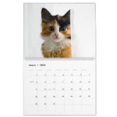 Peekaboo kattenkalender kalender (Mar 2026)