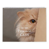 Peekaboo kattenkalender kalender (Hoes)