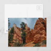 Peekaboo Loop aan Bryce Point Bryce Canyon Nationa Briefkaart (Voorkant / Achterkant)