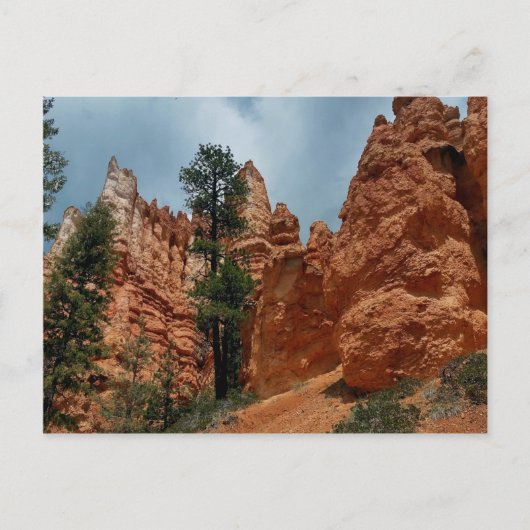 Peekaboo Loop aan Bryce Point Bryce Canyon Nationa Briefkaart (Voorkant)
