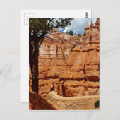 Peekaboo Loop aan Bryce Point Bryce Canyon Nationa Briefkaart (Voorkant / Achterkant)