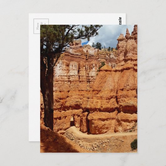 Peekaboo Loop aan Bryce Point Bryce Canyon Nationa Briefkaart (Voorkant / Achterkant)