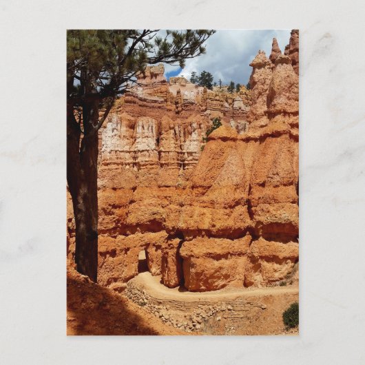 Peekaboo Loop aan Bryce Point Bryce Canyon Nationa Briefkaart (Voorkant)