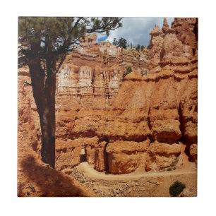 Peekaboo loop Bryce Canyon Nationaal park Utah Tegeltje