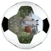 Peekaboo Paarden, Voetbal (Gedraaid)