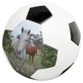 Peekaboo Paarden, Voetbal (Drie kwart)
