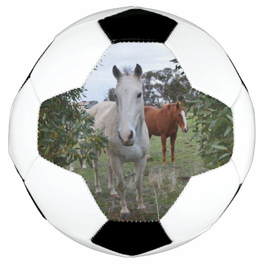 Peekaboo Paarden, Voetbal (Voorkant)