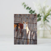 Peekaboo Paint Briefkaart (Staand voorkant)