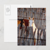 Peekaboo Paint Briefkaart (Voorkant / Achterkant)