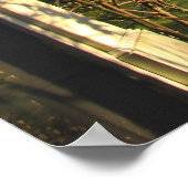 Peekaboo Porch Poster (Hoek)