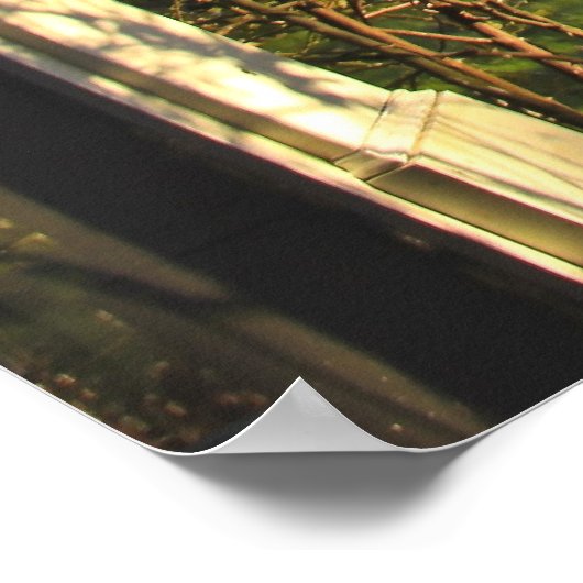 Peekaboo Porch Poster (Hoek)