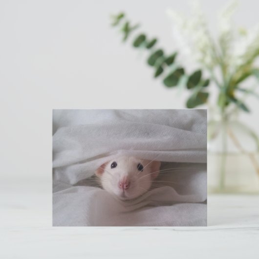 Peekaboo Rat Briefkaart (Staand voorkant)