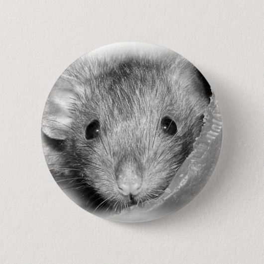 Peekaboo Rattie Button (Voorkant)
