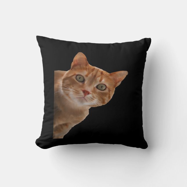 Peekaboo - Schilderen Kussen (Voorkant)