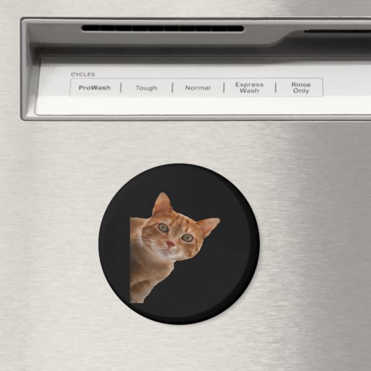 Peekaboo - Schilderen Magneet (Insitu (Vaatwasser))