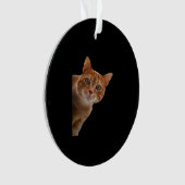 Peekaboo - Schilderen Ornament (voorkant)