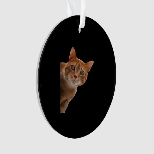 Peekaboo - Schilderen Ornament (voorkant)