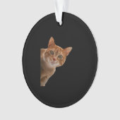 Peekaboo - Schilderen Ornament (voorkant)