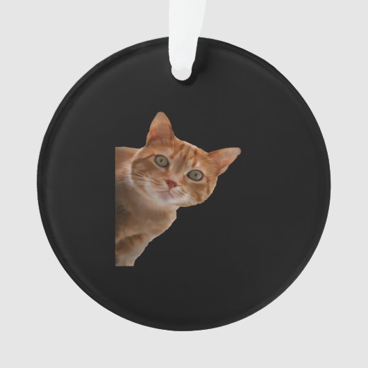 Peekaboo - Schilderen Ornament (voorkant)