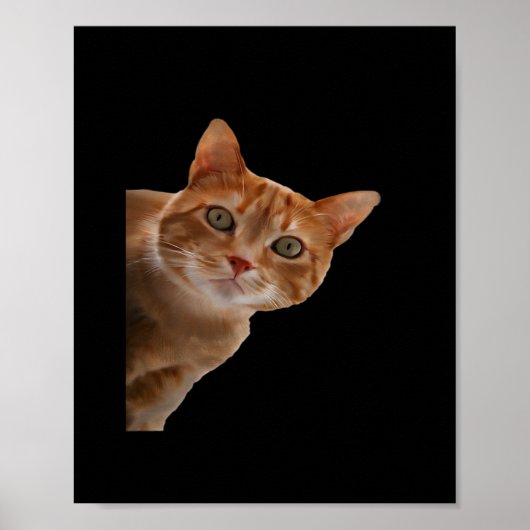 Peekaboo - Schilderen Poster (Voorkant)