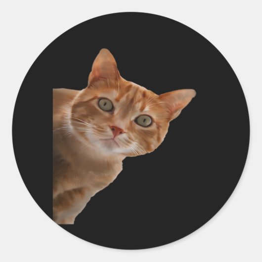 Peekaboo - Schilderen Ronde Sticker (Voorkant)