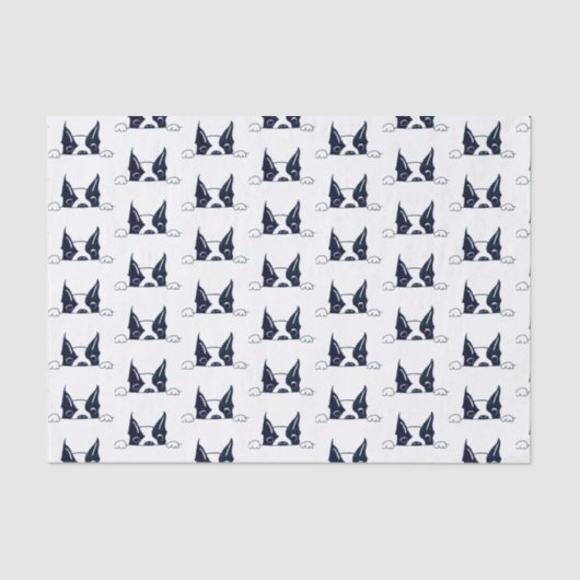 Peekaboo Tissue Paper Tissuepapier (Voorkant)