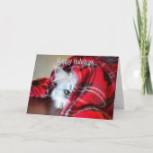 Peeking Cat Holiday Kaart (Voorkant)