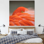 Peeking Flamingo Canvas Afdruk (Insitu (Slaapkamer))