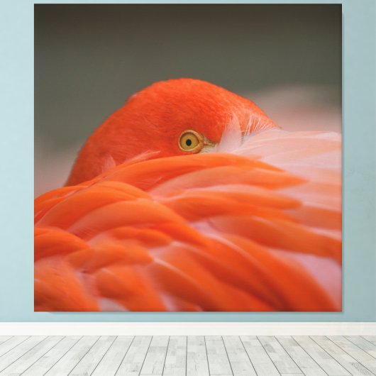 Peeking Flamingo Canvas Afdruk (Insitu (Houten vloer))
