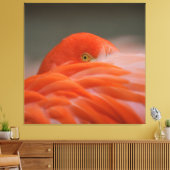 Peeking Flamingo Canvas Afdruk (Insitu (Woonkamer))