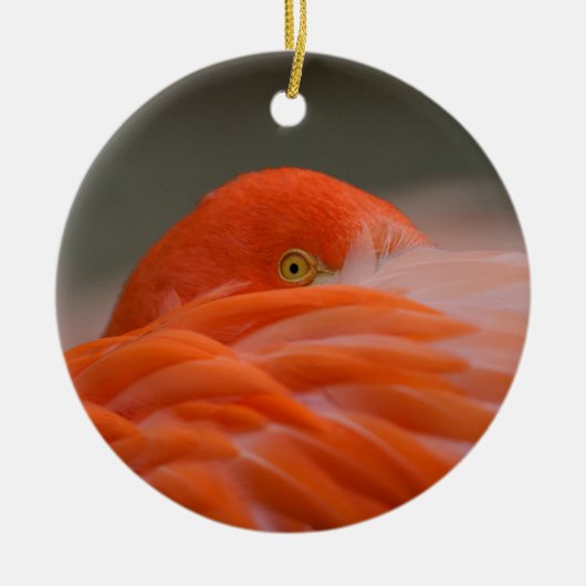 Peeking Flamingo Keramisch Ornament (Voorkant)