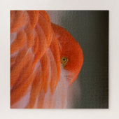 Peeking Flamingo Legpuzzel (Horizontaal)