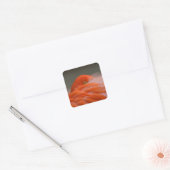 Peeking Flamingo Vierkante Sticker (Envelop)