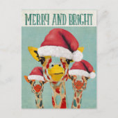 Peeking Giraffes Kerst Briefkaart (Voorkant)