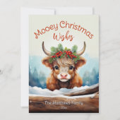 Peeking Highland Koe Mooey Kerstboerderij Feestdagenkaart (Voorkant)