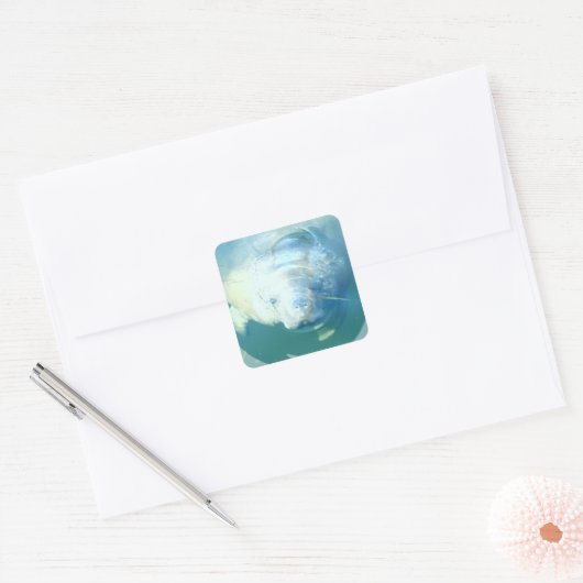 Peeking Manatee Sticker (Envelop)