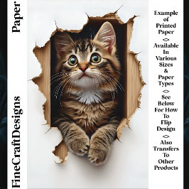 Peeking Out Of Hole Tabby Cat CN5 Scrapbook Paper