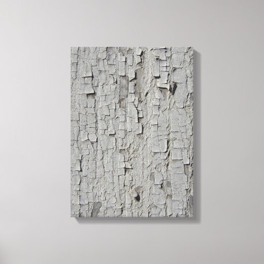 Peeling Barn Paint Canvas Afdruk (Voorkant)