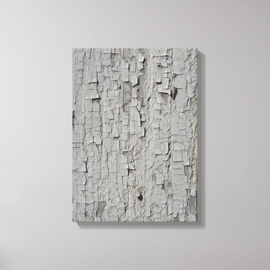 Peeling Barn Paint Canvas Afdruk (Voorkant)