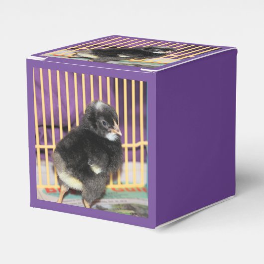 Peep Bedankdoosjes (Voorkant Zijde)